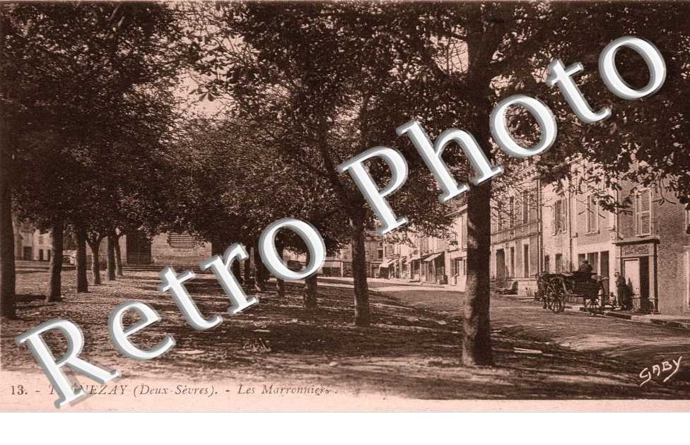Les marronniers