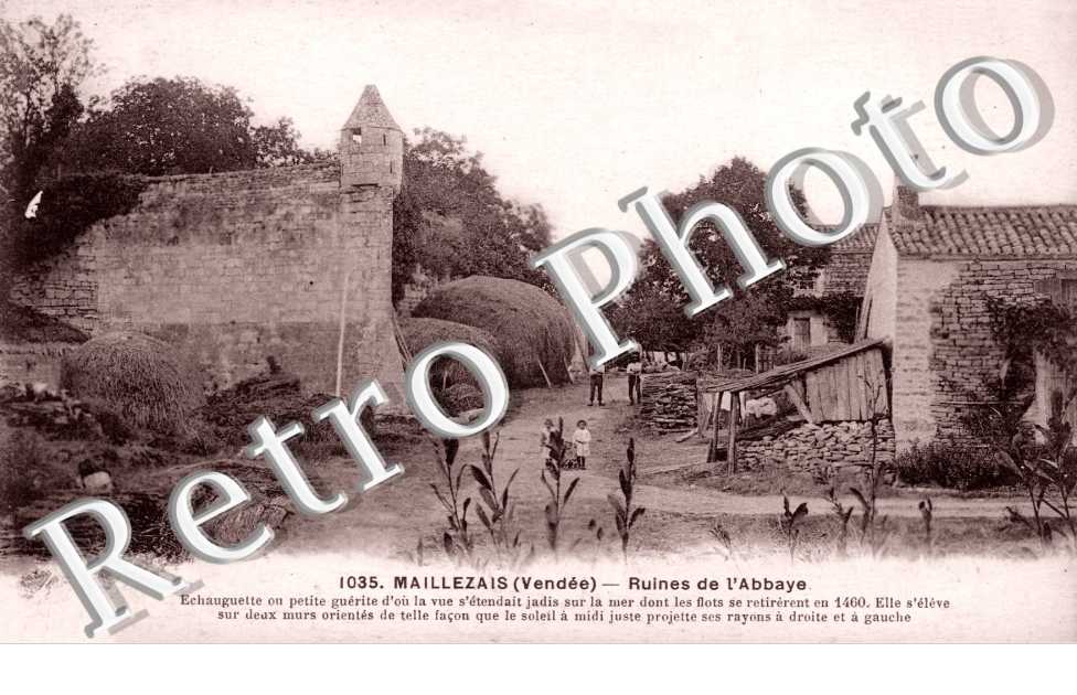 Ruines de l'Abbaye