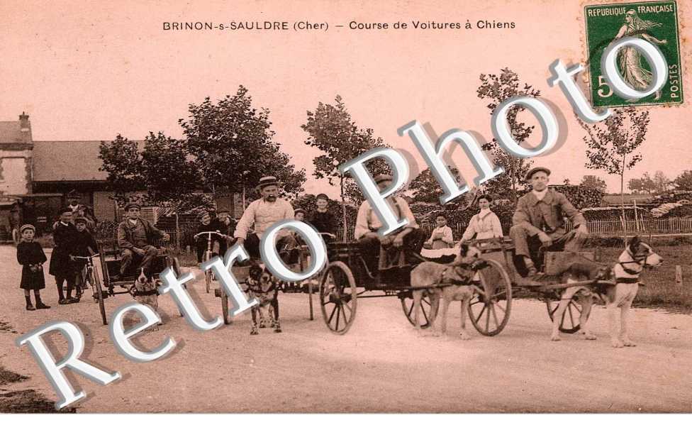 Course de Voitures à Chiens
