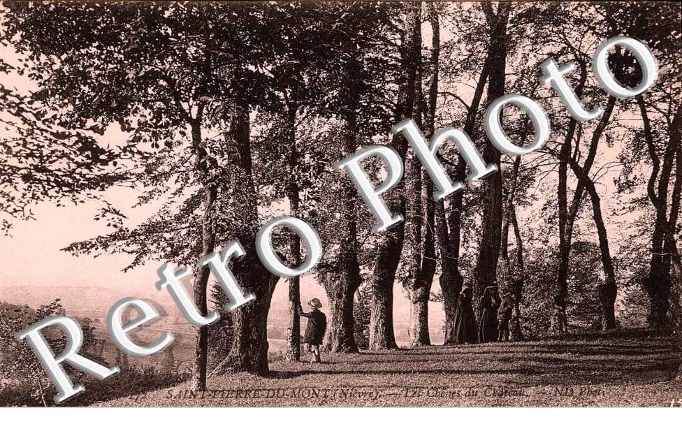 les chenes du chateau