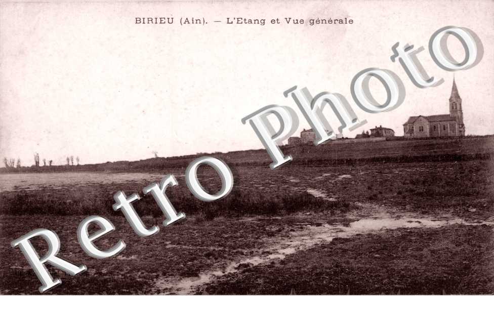L'etang et vue generale