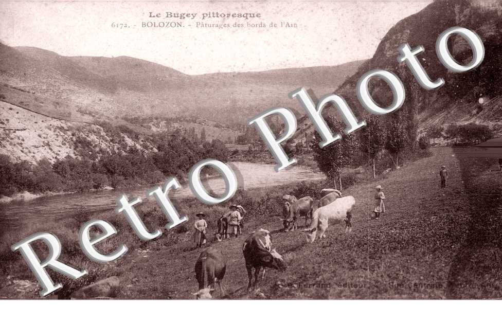 Paturages des bords de l'Ain