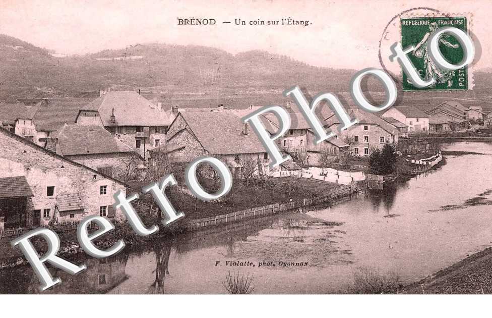 Un coin sur l'etang