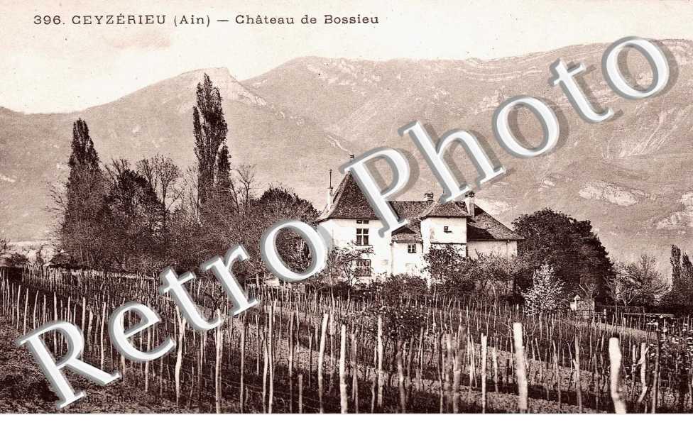 Chateau de Bossieu