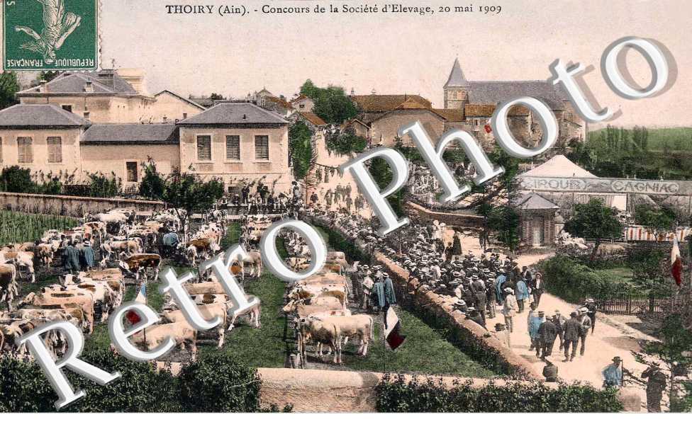 Concours de la Societe d'Elevage, 20 mai 1909