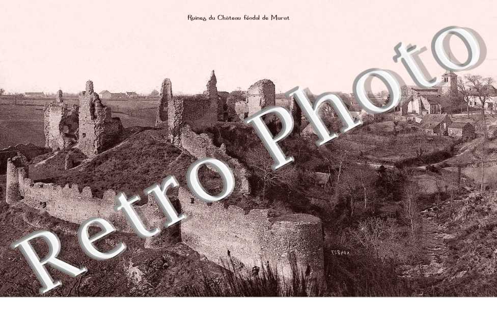 Ruines du chateau feodal