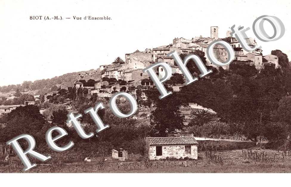 Vue d'ensemble