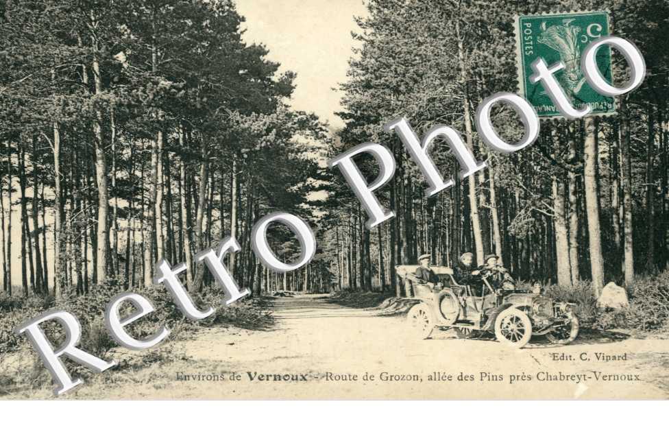 Route de Grozon - allee des pins