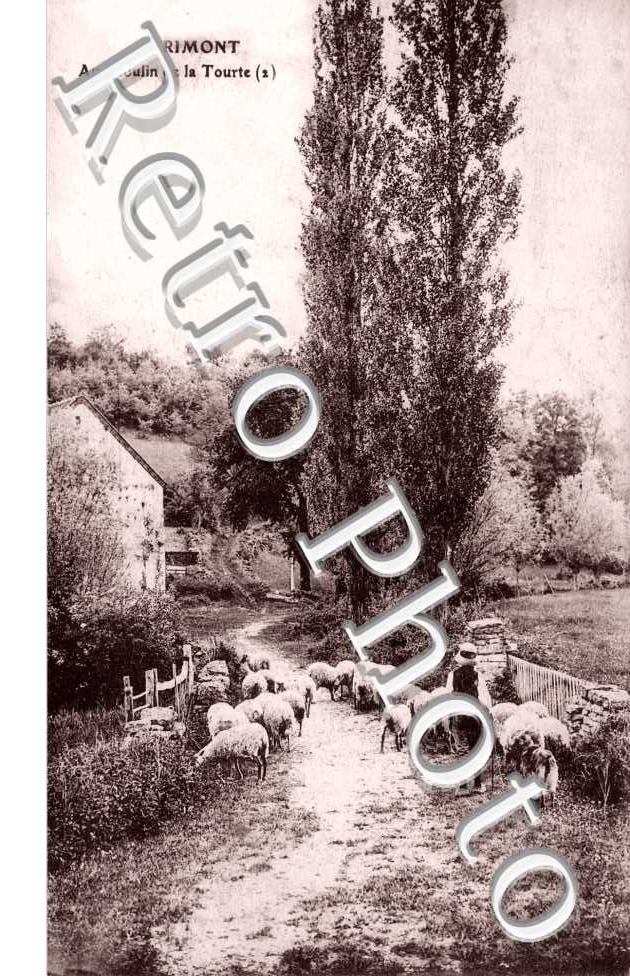 au moulin de la Tourte