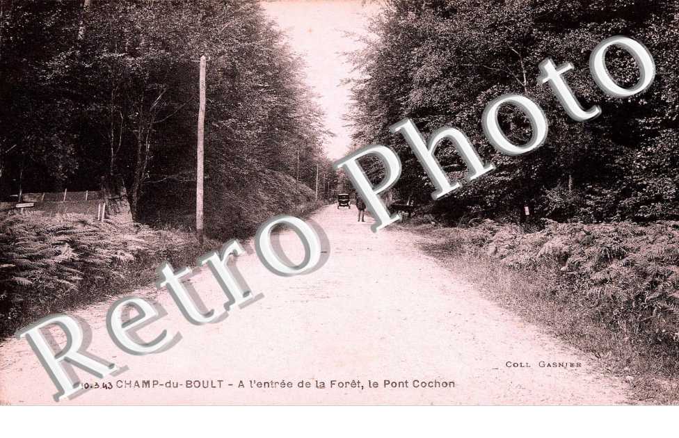 a l'entree de la foret, le pont Cochon