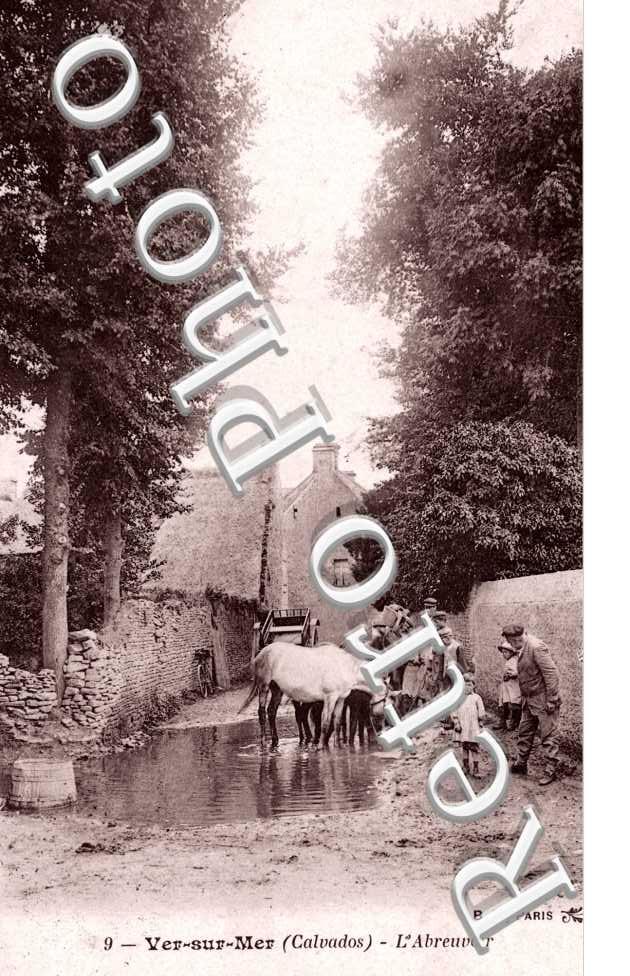 l'abreuvoir