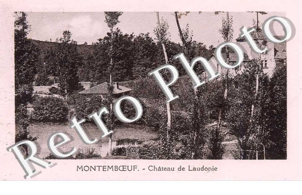 Chateau de Laudonie