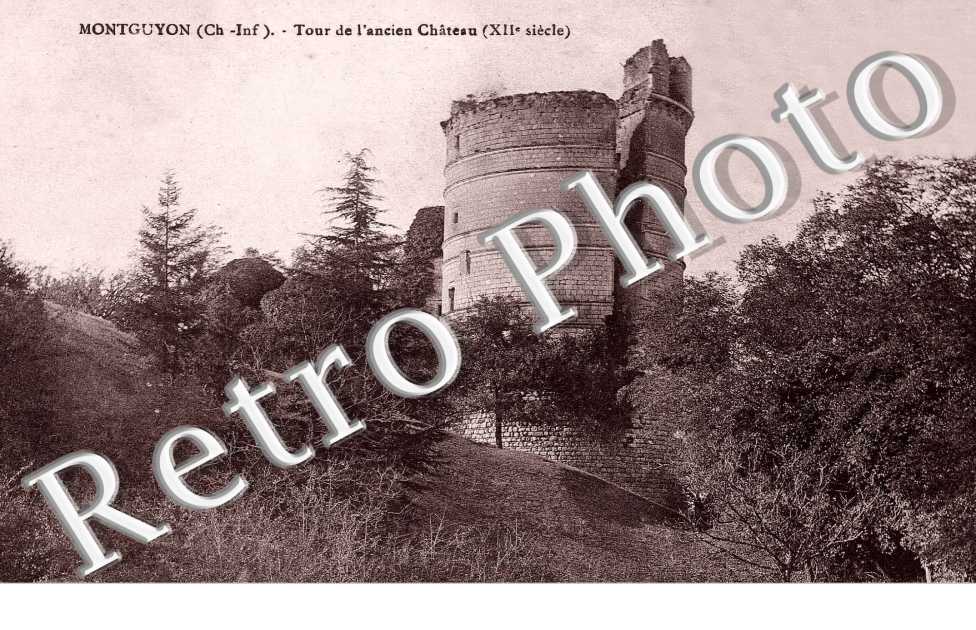 tour de l'ancien chateau