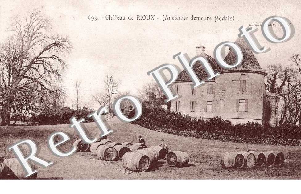 CHATEAU DE RIOUX (ANCIENNE DEMEURE FEODALE)