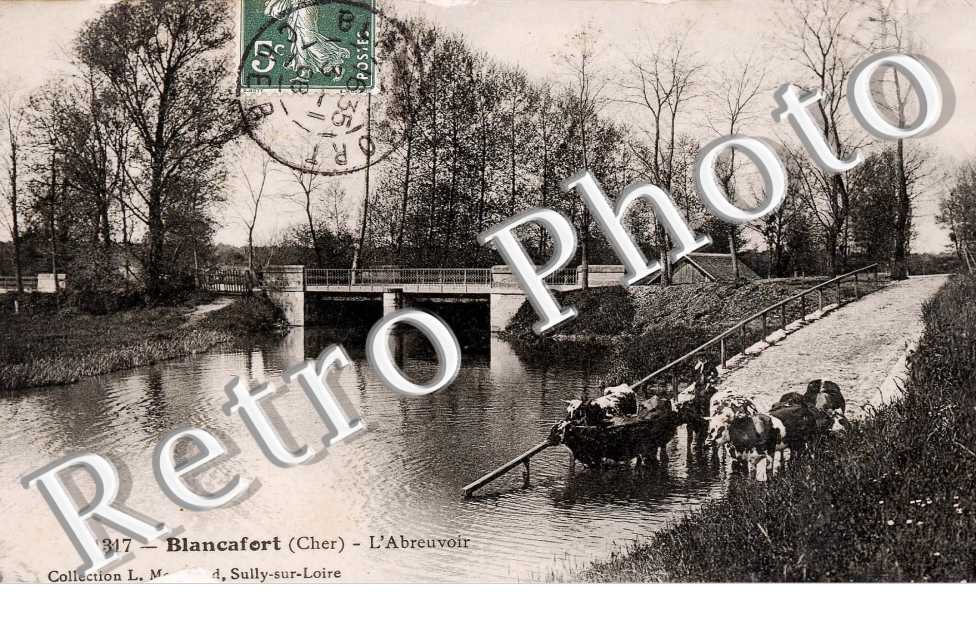 l'abreuvoir