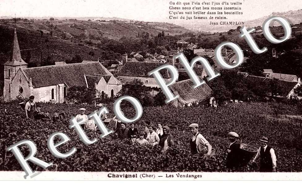 chavignol les vendanges