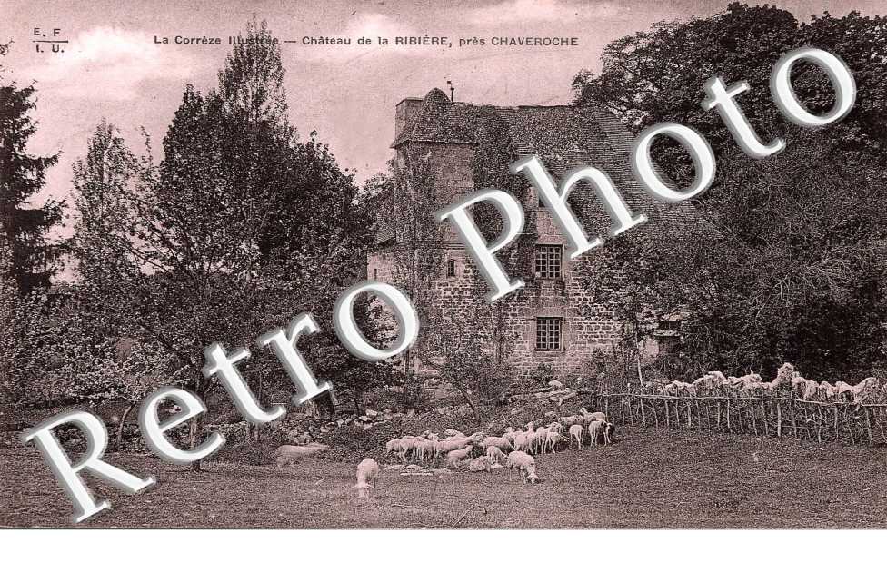 chateau de la ribiere