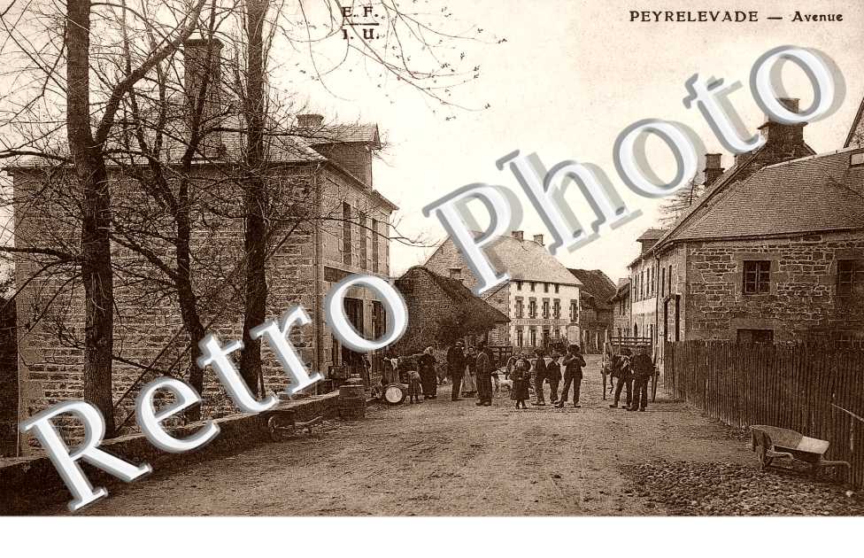 avenue