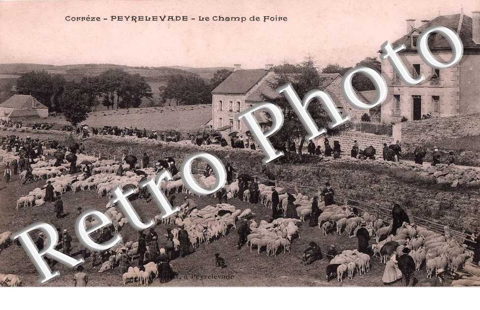 le champ de foire