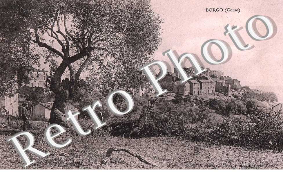 (vue generale)