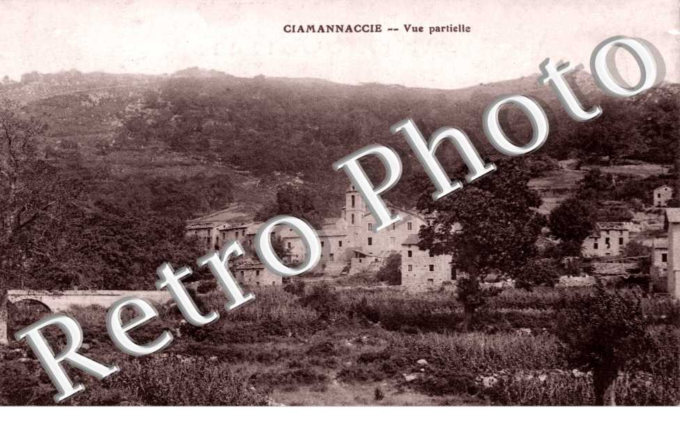 Vue partielle