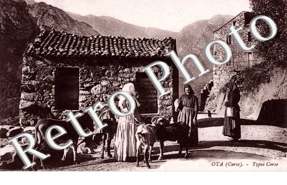 Types Corse