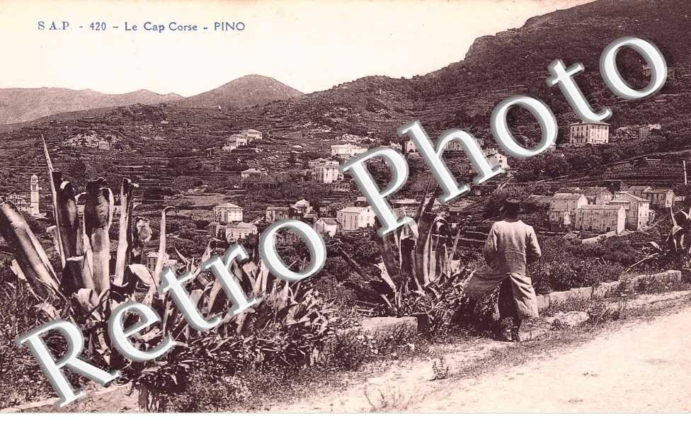 Cap Corse S.A.P. n° 420