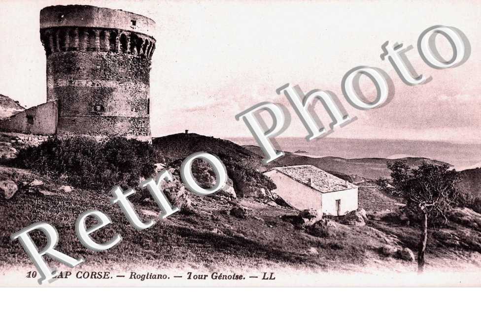 Tour genoise