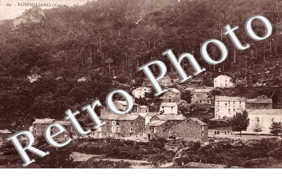 (vue generale)