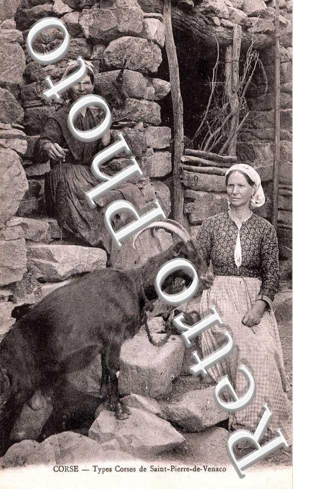 Types corses