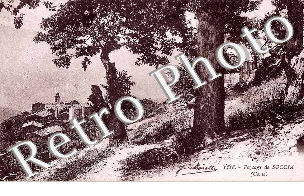 Paysage