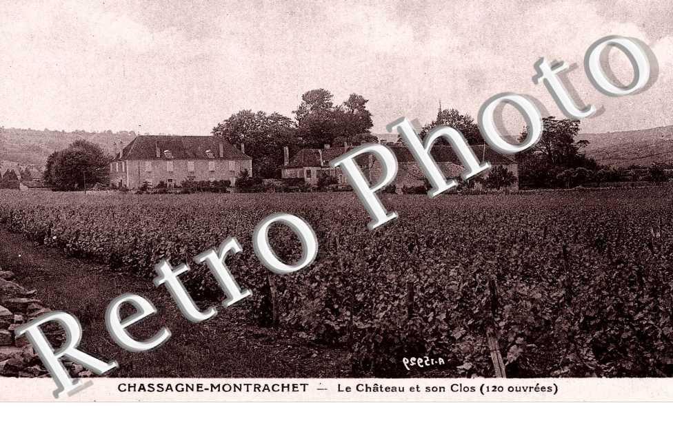 Le chateau et son clos