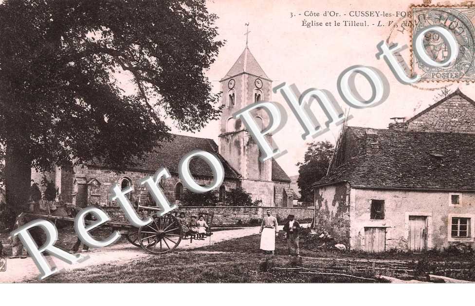 Eglise et le Tilleul