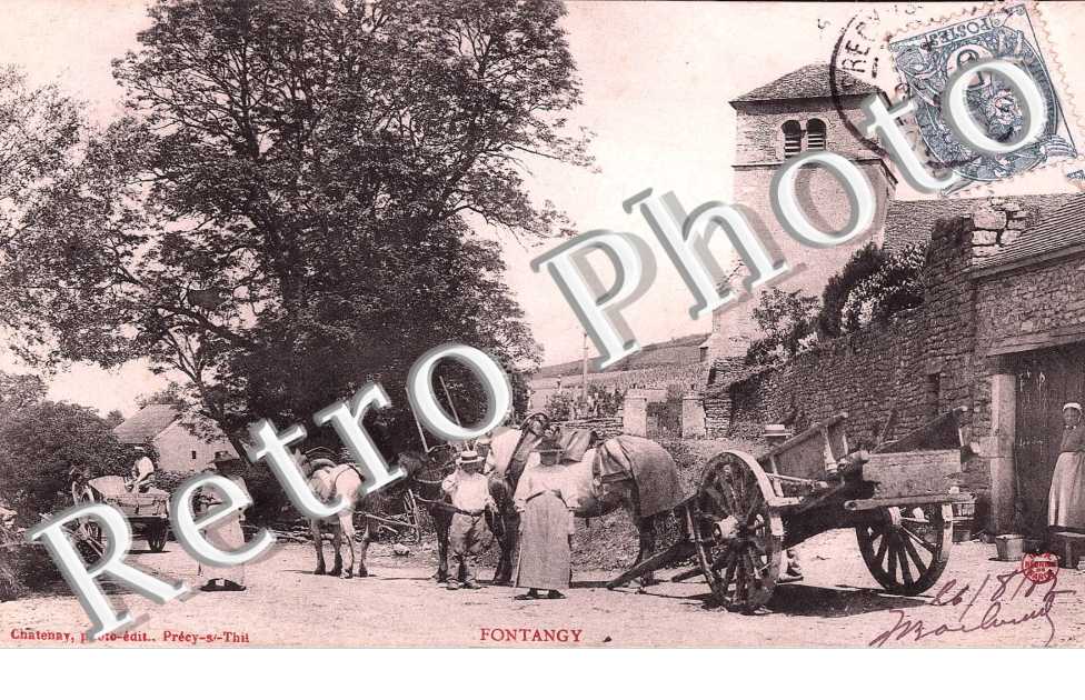 des Chevaux et des Caleches
