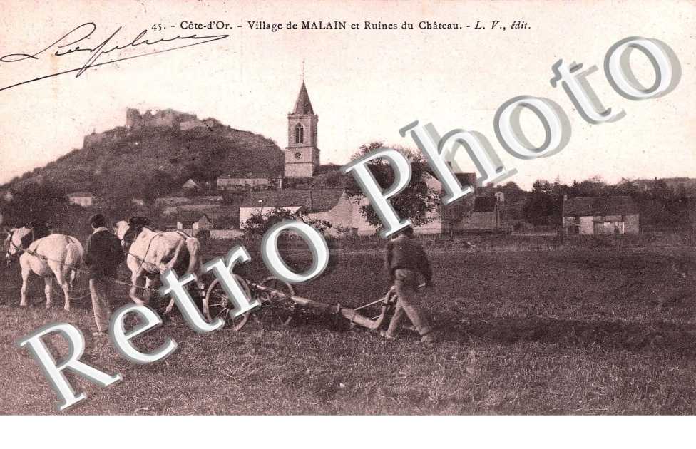 Ruines du chateau - Charrue- agriculture