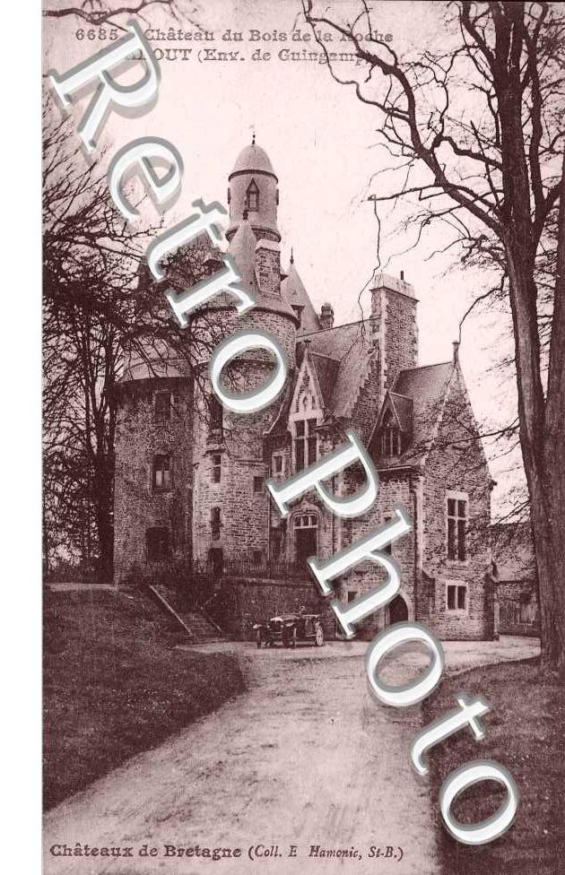 Chateau du Bois de la Roche