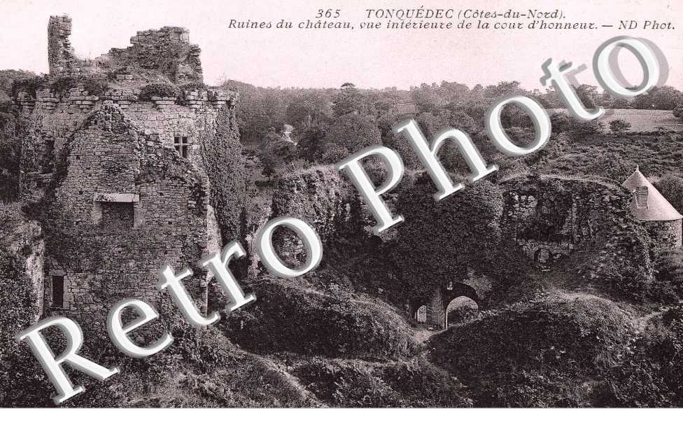 ruines du chateau, vue interieure de la cour d'honneur