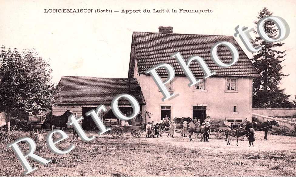Apport du lait la Fromagerie