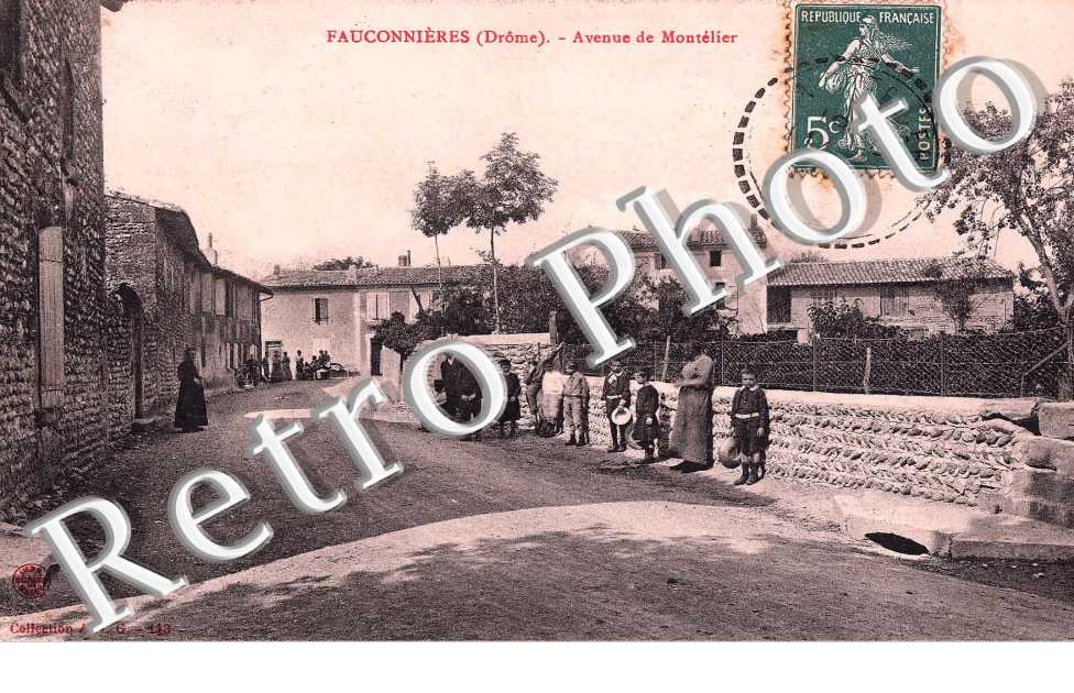 Fauconnieres - Avenue de Montelier