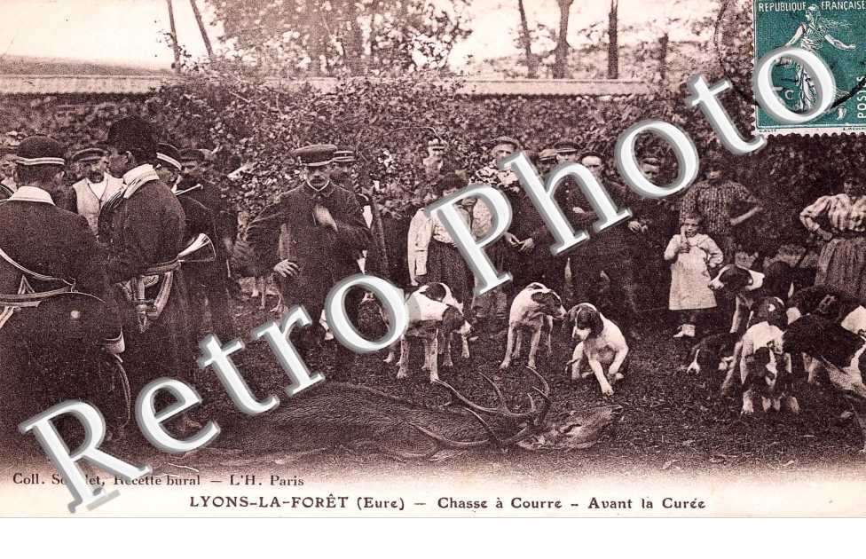 chasse a courre - avant la curee