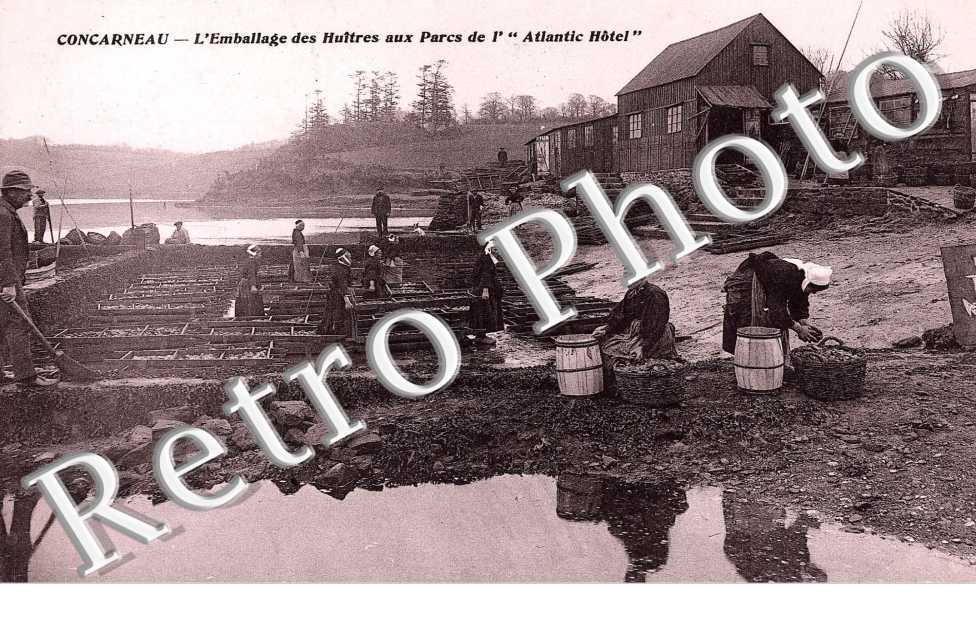 L'EMBALLAGE DES HUITRES aux parcs de l'Atlantic Hôtel