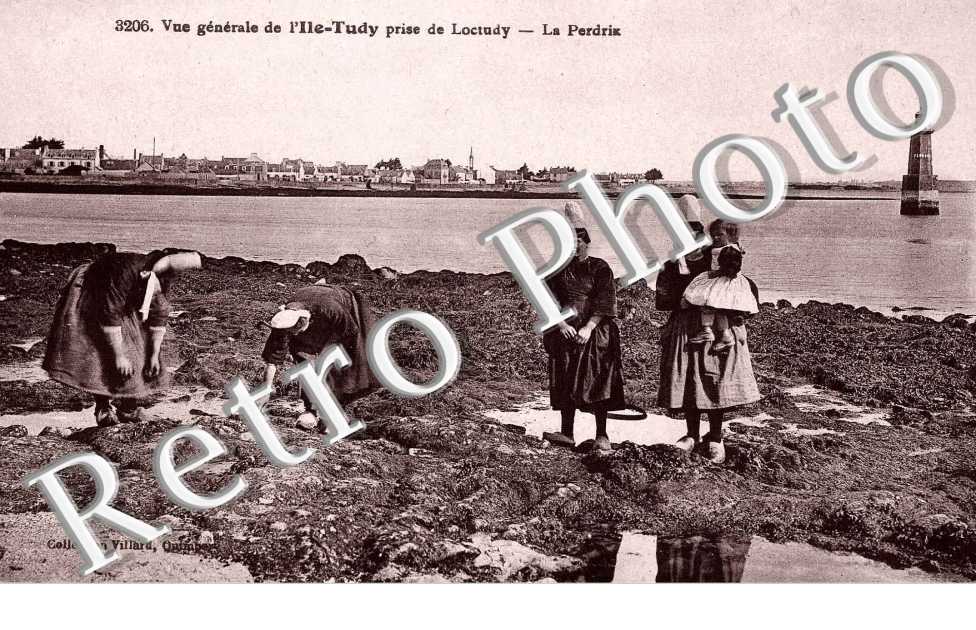 vue generale de l'ile de tudy prise de loctudy - le perdrix