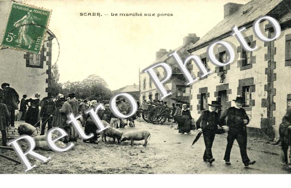 Scaer le marche aux porcs