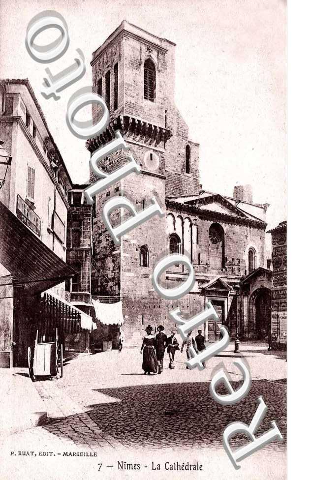 la cathedrale  - vue verticale