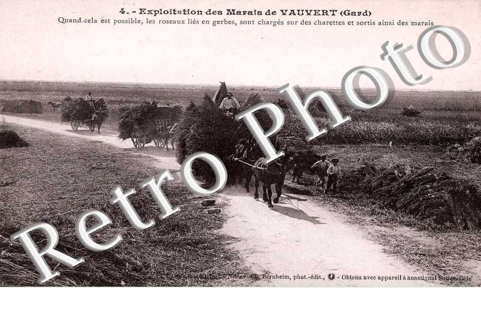 Exploitation des marais