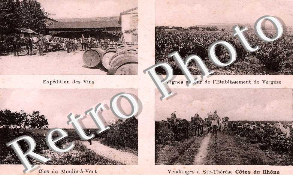 expédition des vins - Clos du Moulin-à-vent - Vendanges à Saint-Thérèse Vignes autour de l'établissemennt de Vergèze
