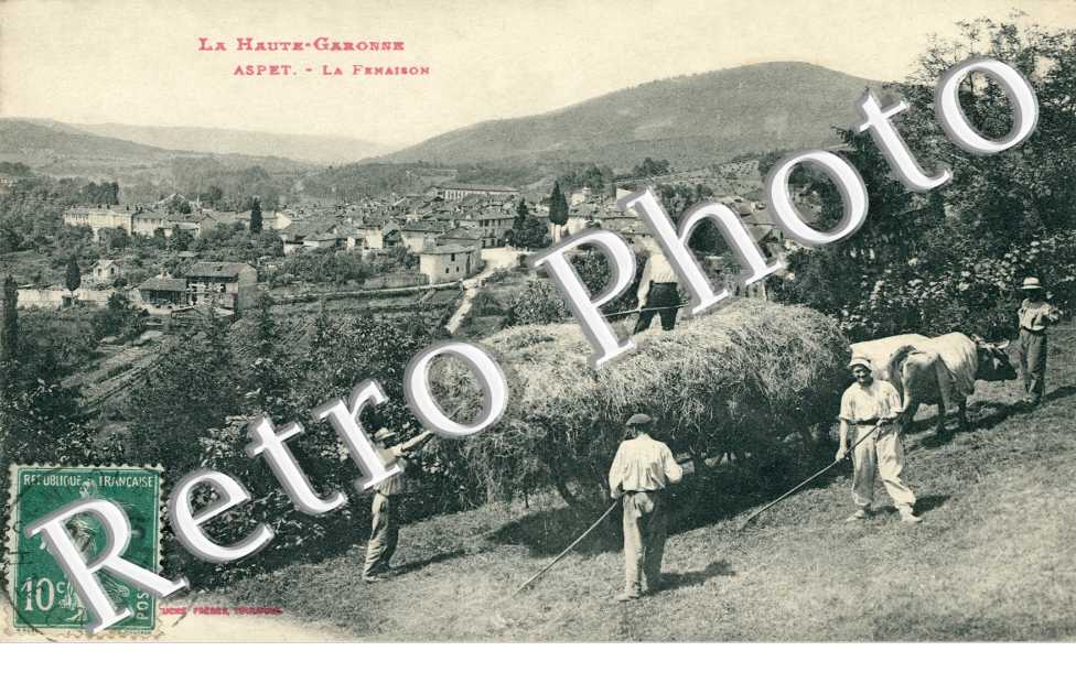 la fenaison