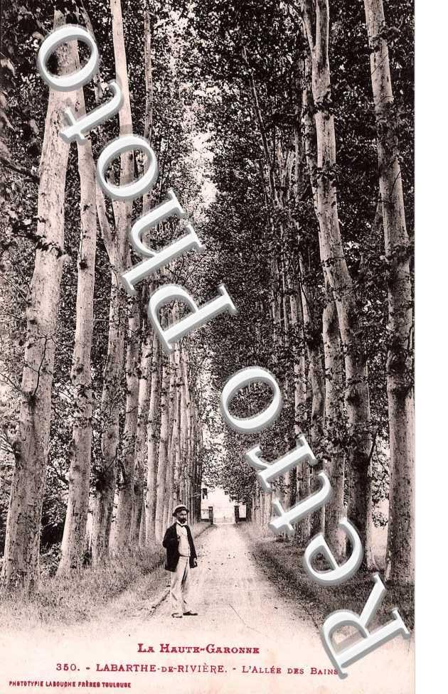 l'allee des bains