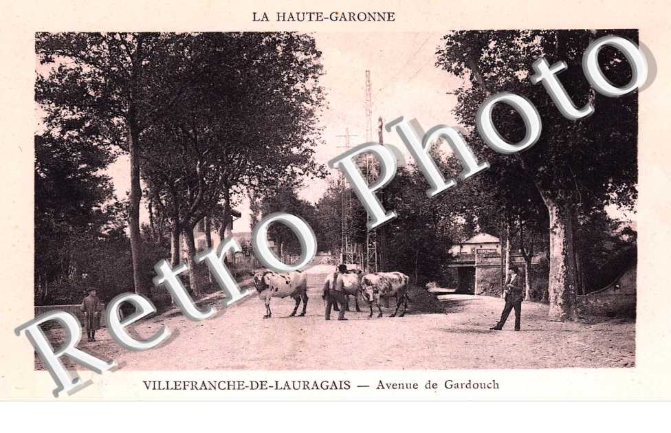 avenue de gardouch