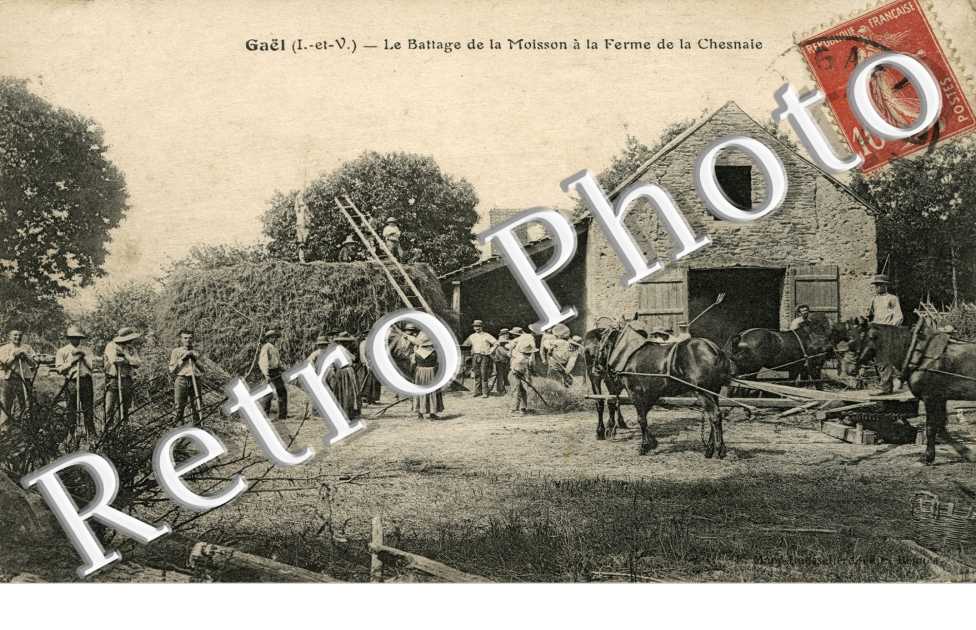 Le battage de la moisson a la ferme de la Chesnaie -agricluture